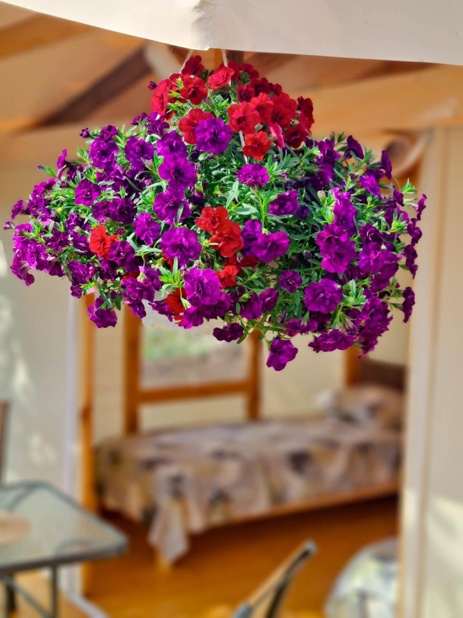 Camping Saint George トポラ エクステリア 写真